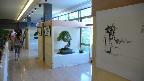 Cliquez pour accder  la galerie CALLIGRAPHIE et SUMI E