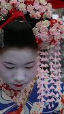 Cliquez pour accder  la galerie FEVRIER  2009  AU  JAPON