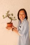 Cliquez pour accder  la galerie LES ATELIERS DE L'ART DU   BONSAI