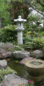 Cliquez pour accder  la galerie LE JARDIN JAPONAIS DE MONACO