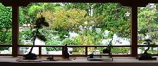 Cliquez pour accder  la galerie MONACO BONSAI 2005