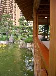 Cliquez pour accder  la galerie LE JARDIN JAPONAIS DE MONACO