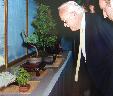 Cliquez pour accder  la galerie  MONACO BONSAI 92