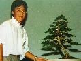 Cliquez pour accder  la galerie MONACO BONSAI  95  CONGRES EBA